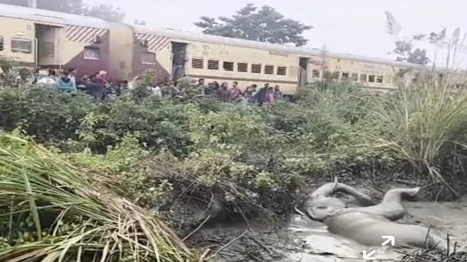 The railway is blaming the injured elephant for the accident in rudrapur