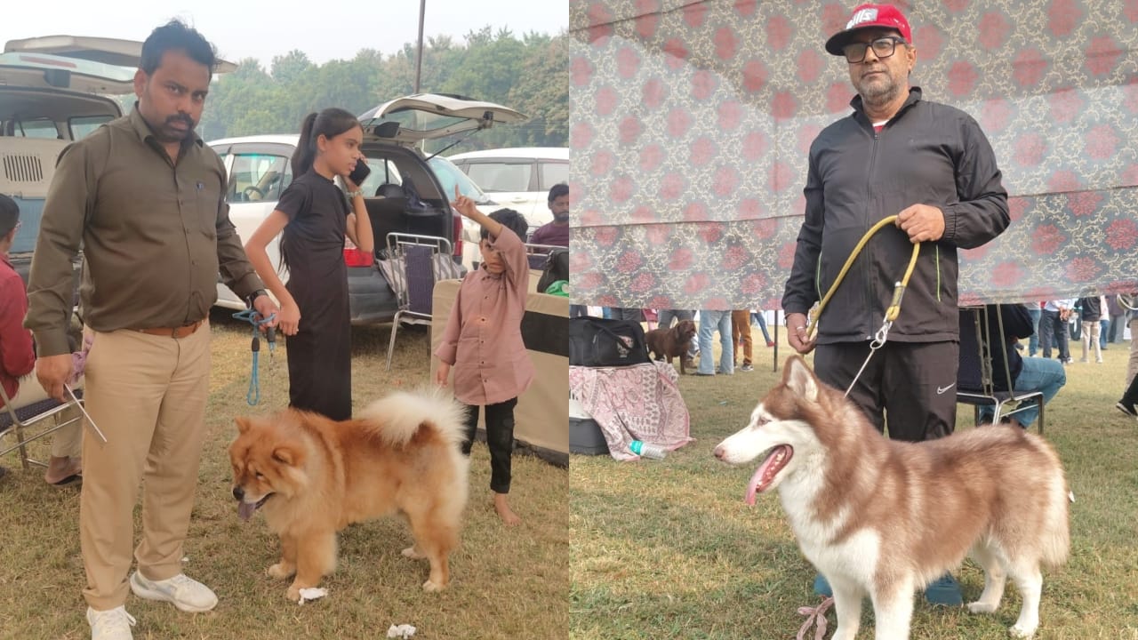 Dog show held at Bareilly IVRI People were stunned to see the world's smallest dog