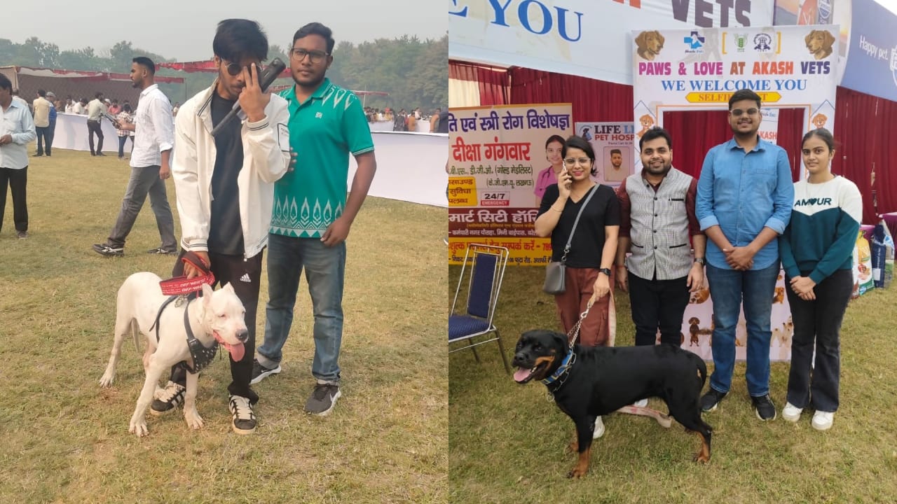 Dog show held at Bareilly IVRI People were stunned to see the world's smallest dog