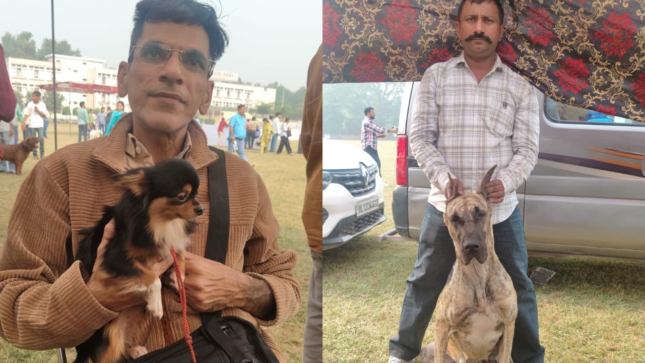 Dog show held at Bareilly IVRI People were stunned to see the world's smallest dog