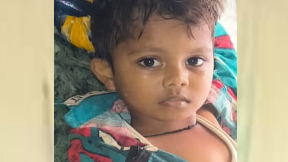 UP: Boy crushed to death by milk van; angry family members block road and create ruckus