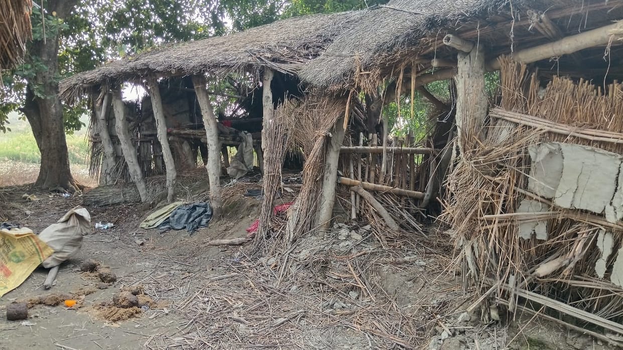 Elephants wreak havoc destroy many huts in Pilibhit