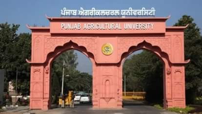 PAU receives National IIRF Award for Excellence in Education Research and Extension Services