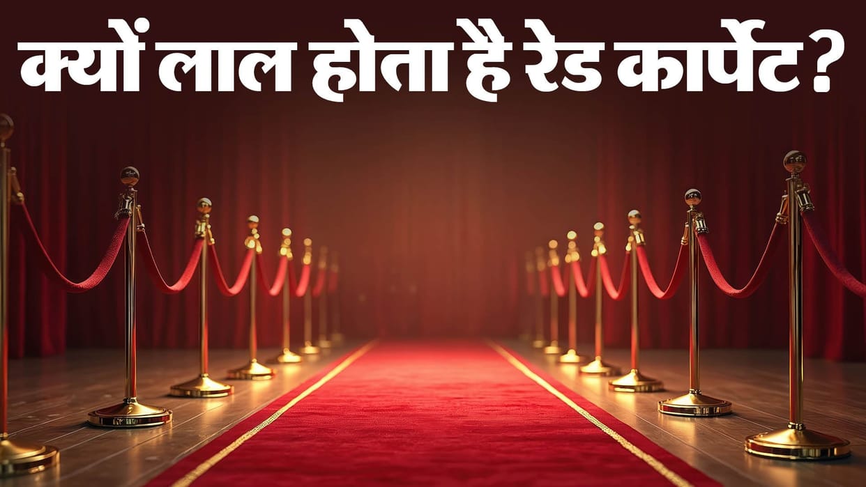 why red carpet colour is red always know history of red carpet culture glamour and vip events