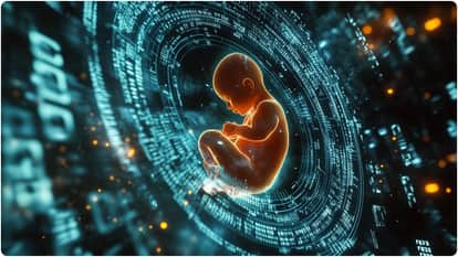 data shows one child in every British classroom now born via IVF why infertility increasing