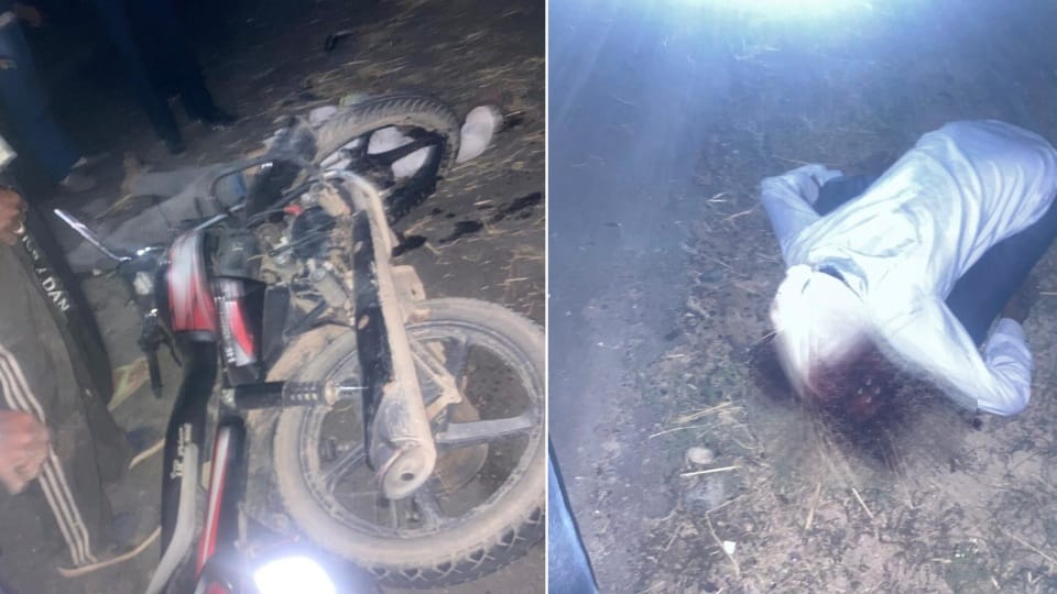 Two person died in road accident in Abohar-Sriganganagar Highway