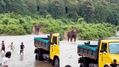 Children were playing on the river bank when an angry elephant chased them they started running