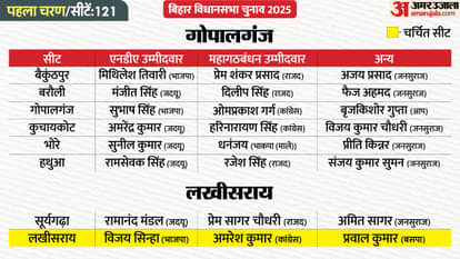 Where will voting take place in the first phase, and which candidates are contesting? See ever