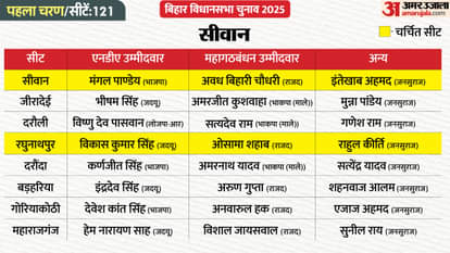 Where will voting take place in the first phase, and which candidates are contesting? See ever