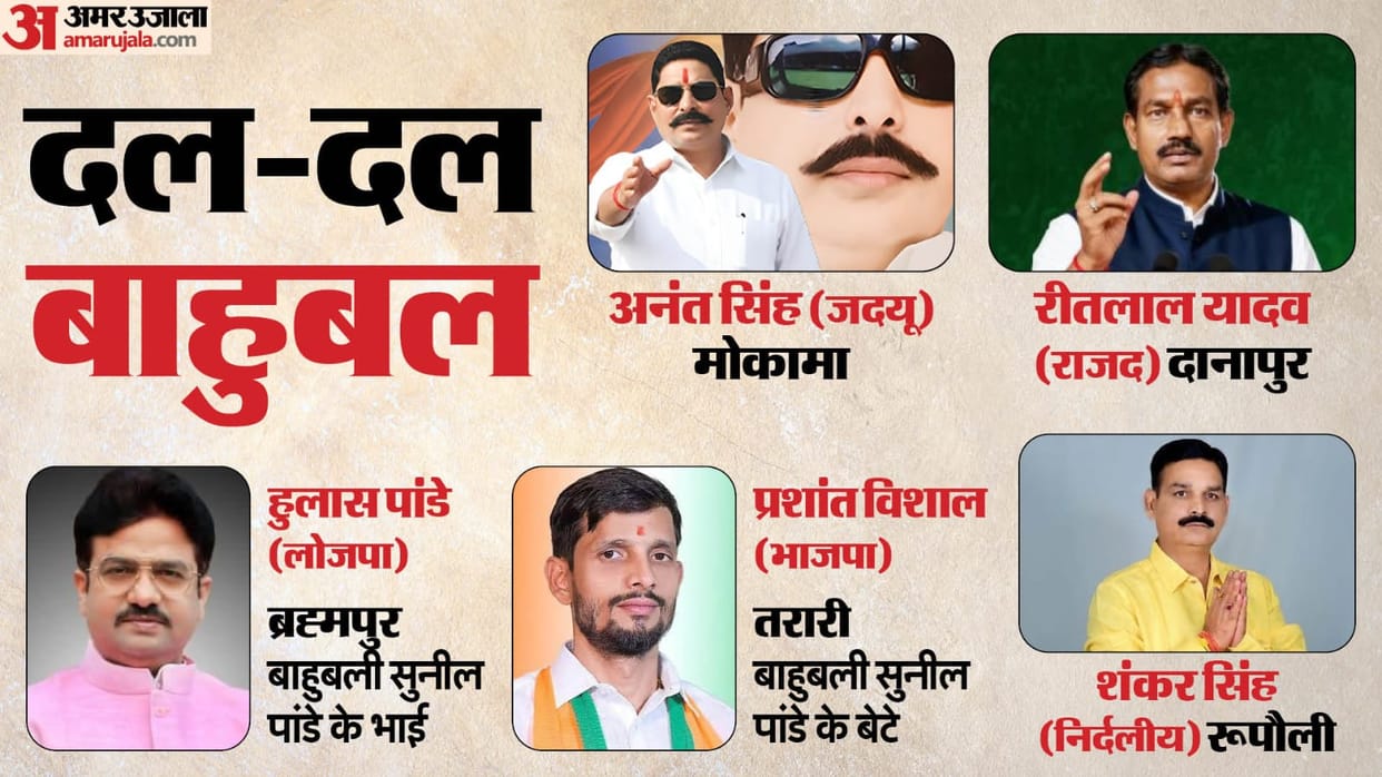 Many strongmen and their relatives are contesting the Bihar elections, with neither party nor opposition avers