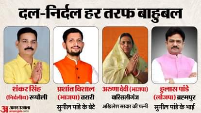 Many strongmen and their relatives are contesting the Bihar elections, with neither party nor opposition avers