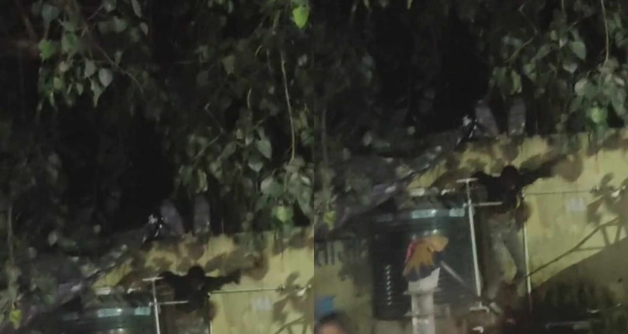 12 minor prisoners absconding from darbhanga bal sudhar grih attacking guard bihar news
