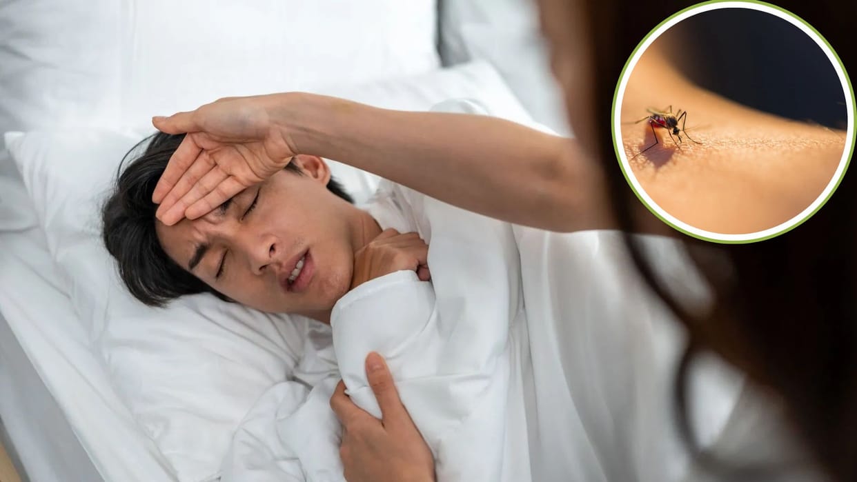 dengue cases rise in Delhi do not ignore these symptoms even by mistake know in hindi