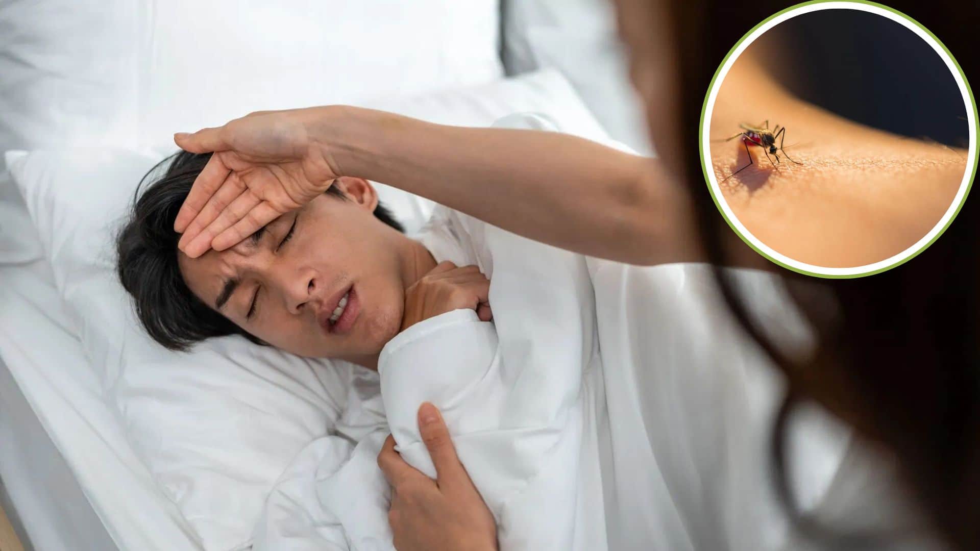 मलेरिया के लक्षण क्या हैं?