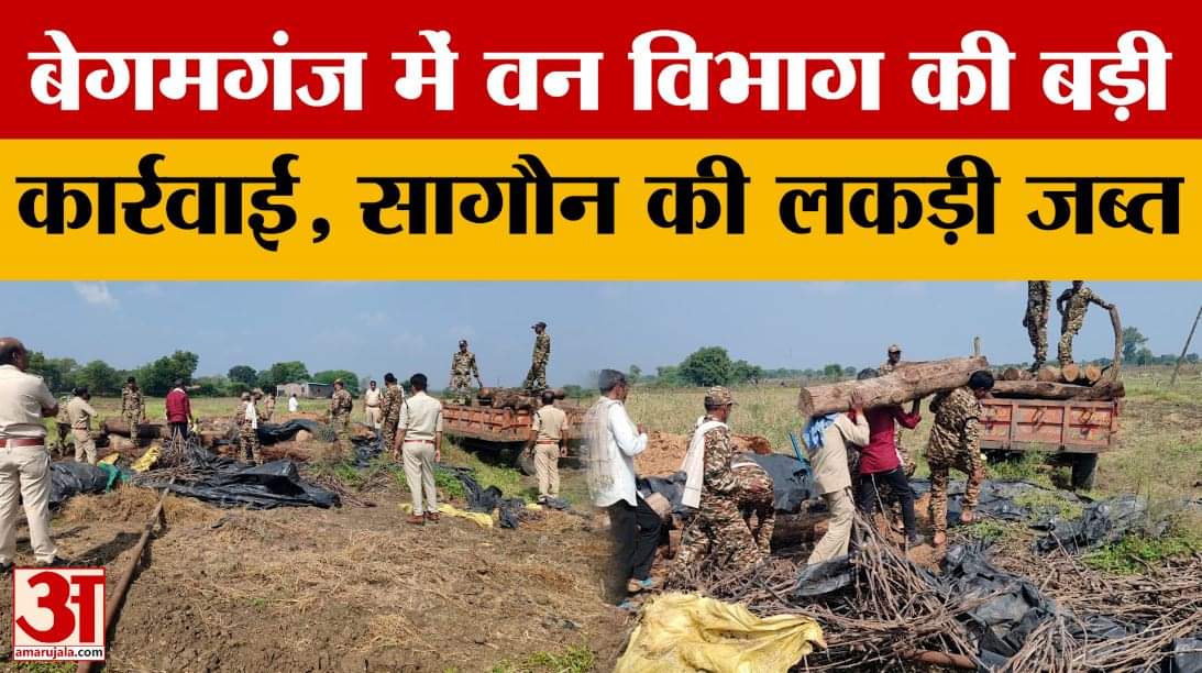 मध्य प्रदेश न्यूज