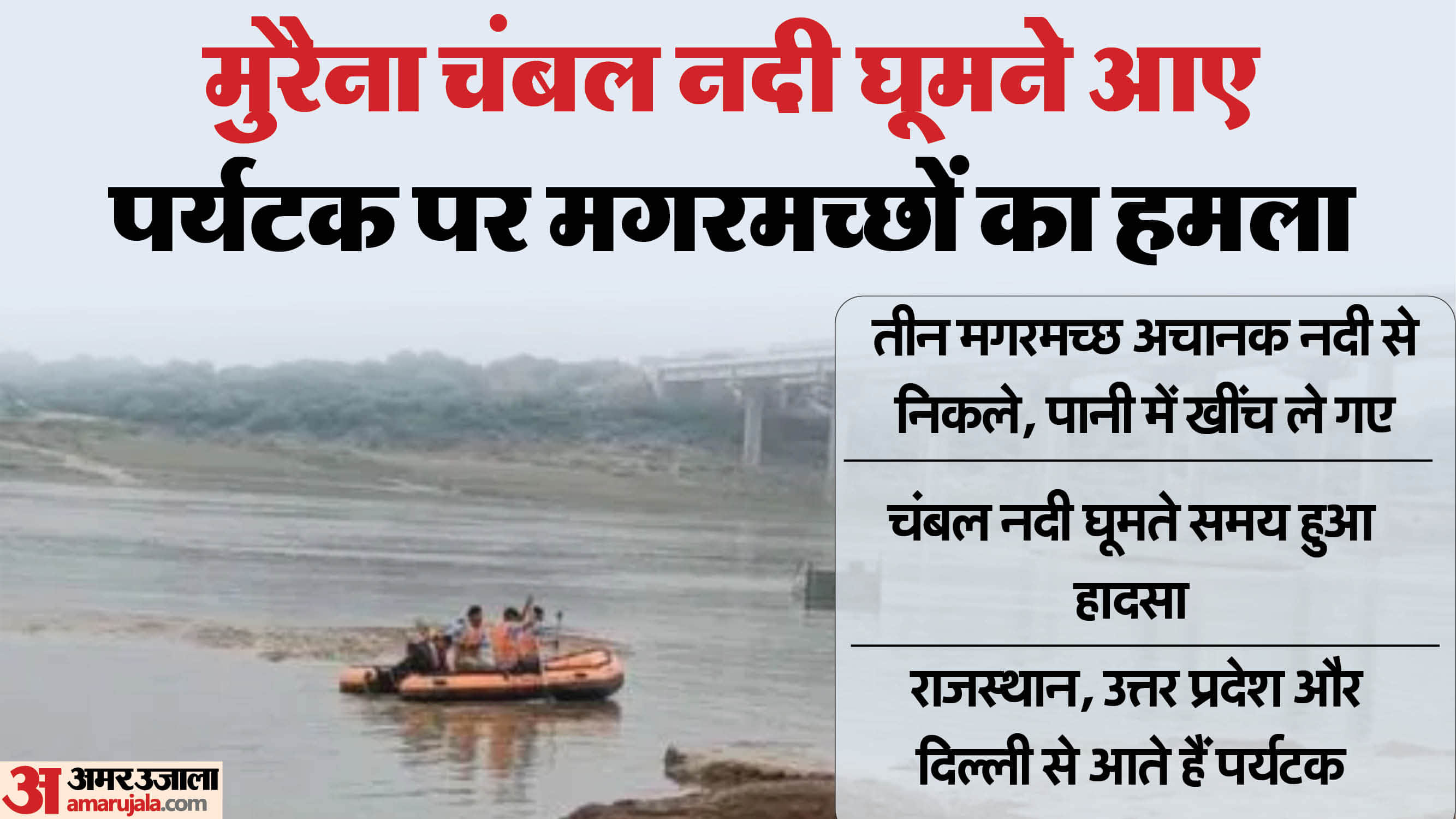 पर्यटक को नदी में खींच ले गया मगरमच्छ