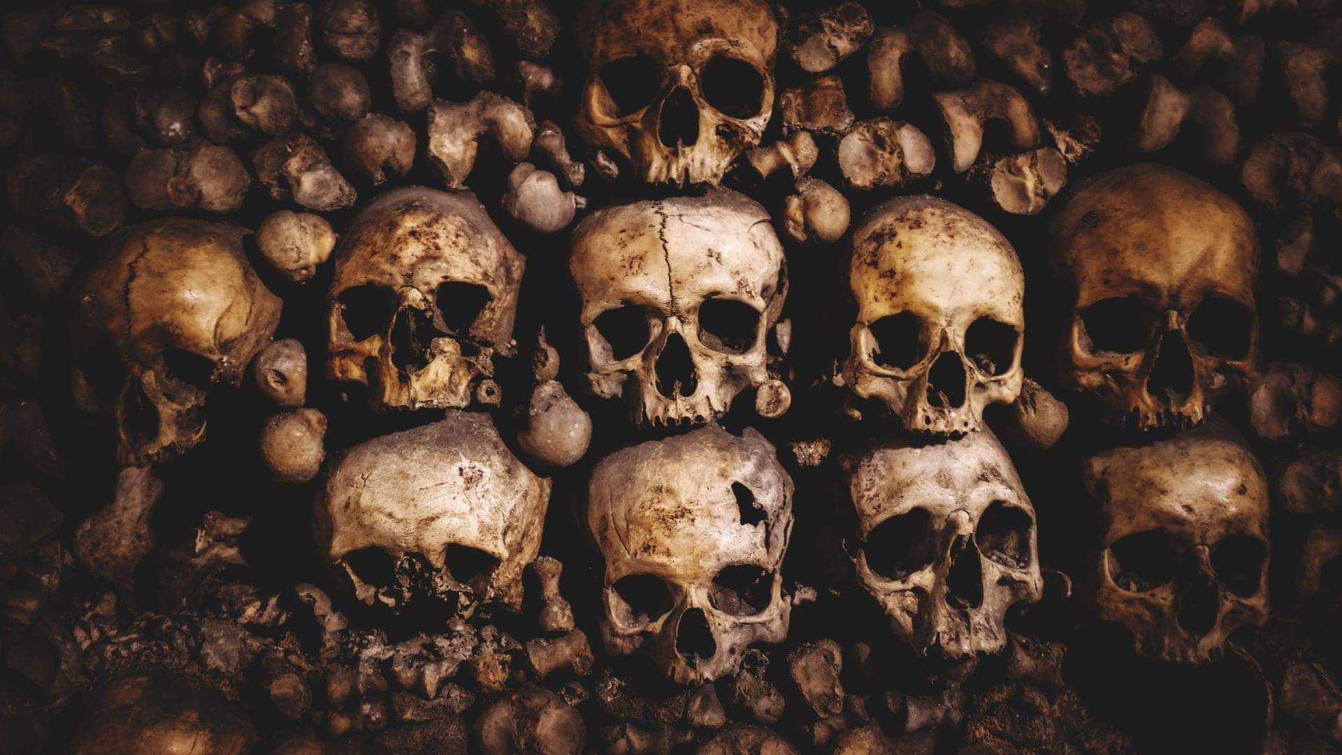 Rwanda Genocide 8 Lakh People Killed in Just 100 Days A Dark Chapter in History