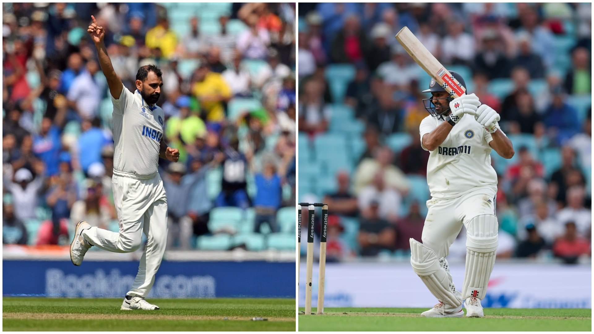 शमी-नायर