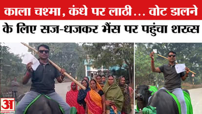 Bihar Election Phase 1 Voting: Man rides buffalo to cast vote