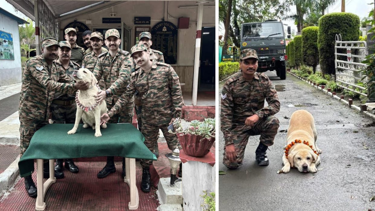 Army Dog Robo who served country for seven years retired army gave him salute emotional farewell