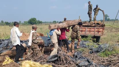 Raisen News: Teak worth five lakh rupees seized from the farmhouse of Shariq Machhli gang