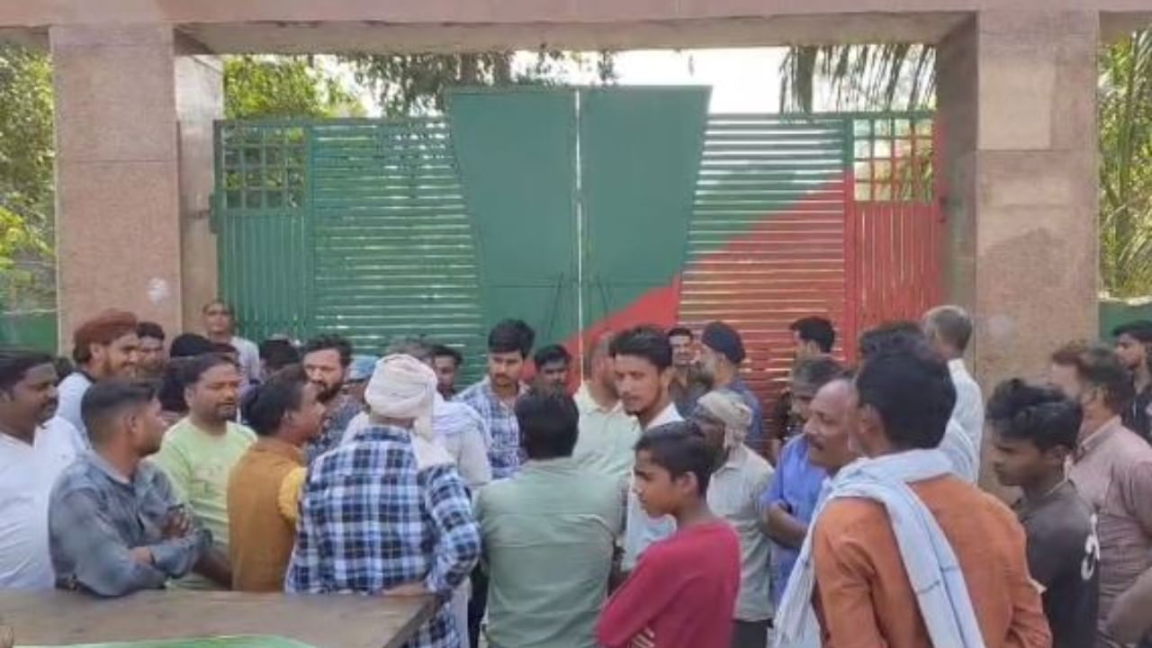 tiger attacked and killed a calf in Lakhimpur kheri