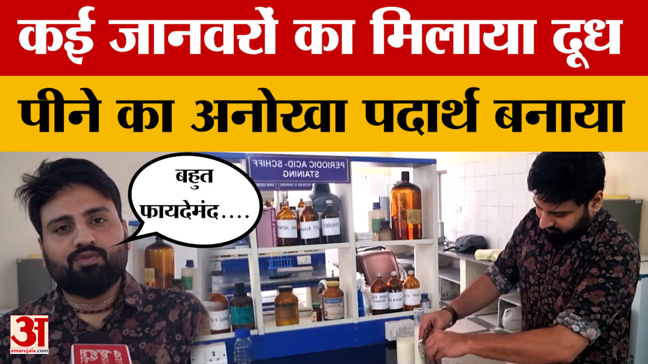 Bikaner: कई जानवरों का दूध मिलाकर बनाया पेय पदार्थ, जानिए क्या बताई खासियत? Amar Ujala News