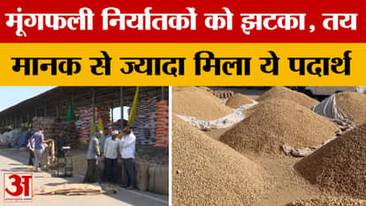 Bikaner: Peanut exporters get a shock, impact of this decision of South-East Asian countries!