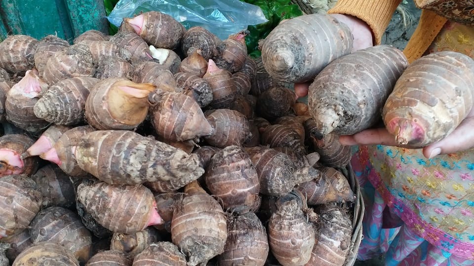 increasing threat of wild boars in the rural areas of Bageshwar farmers have reduced the production of Gaderi