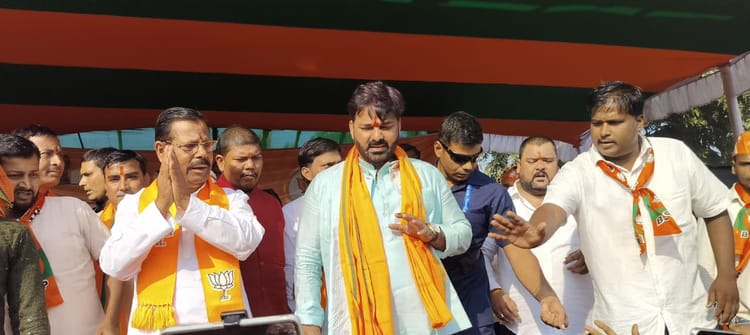 Bihar Election: 'पीएम मोदी और नीतीश कुमार के नेतृत्व में विकास की रफ्तार हुई तेज', सभा के दौरान बोले पवन सिंह