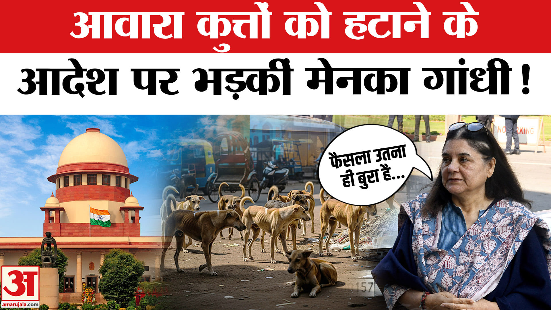 आवारा कुत्तों पर सुप्रीम कोर्ट