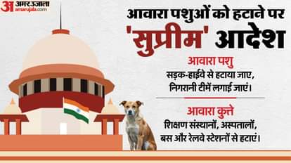 Supreme Court directs States UTs NHAI and civic bodies to remove stray cattle from roads news and updates