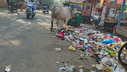 Garbage not collected corporation workers insist on action against ABVP activists in Bareilly