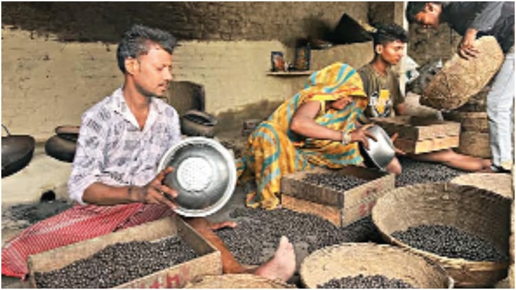 Bihar Election: रोजगार, घुसपैठ, सांस्कृतिक पहचान और पलायन, सीमांचल का वोटर 'सुरक्षा' और 'अस्मिता' के बीच फंसा