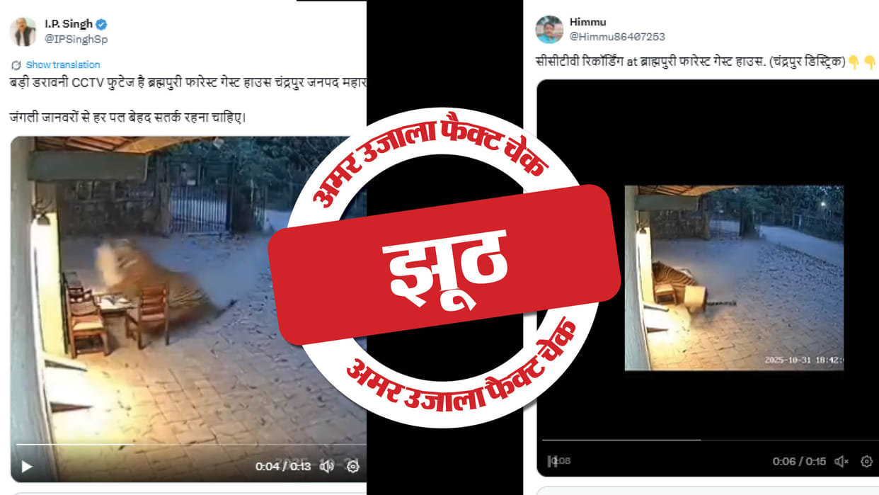 Video of tiger attack at Brahmpuri Forest Guest House created using AI