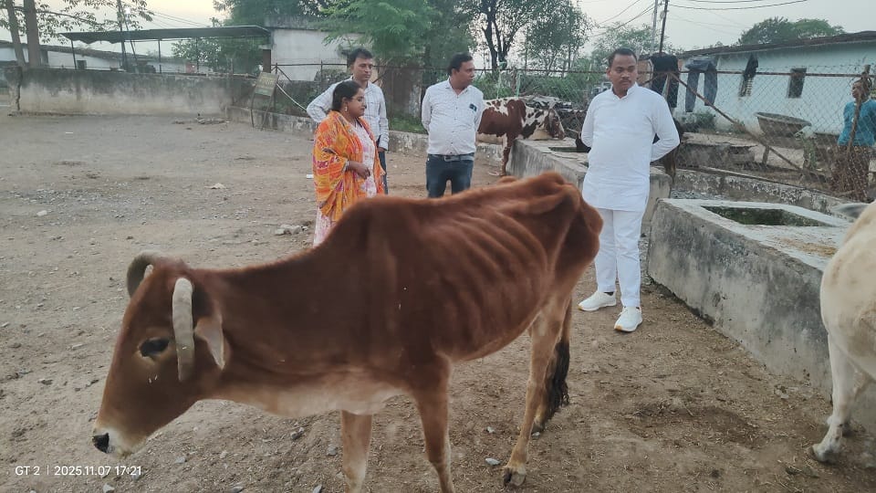 गौ सेवा समिति ने किया निरीक्षण