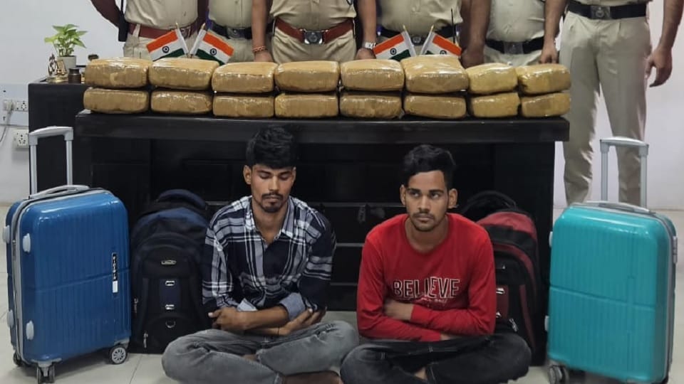 RPF nabs two smugglers with 57 kg of ganja from New Delhi station