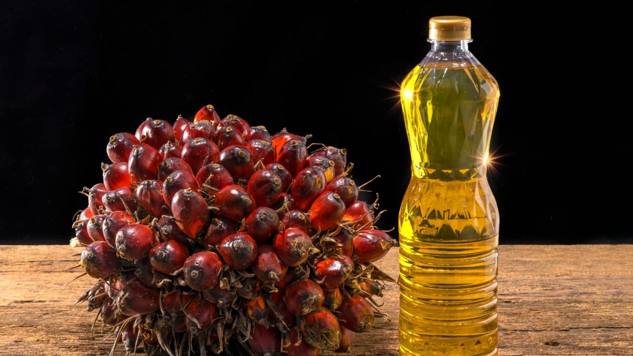 oil market: Palm oil weakens, soybean and sunflower demand increases
