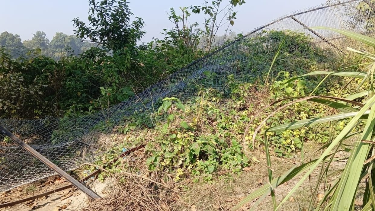 elephants broke the fencing of Kishanpur Sanctuary and trampled the sugarcane crop in Lakhimpur kheri
