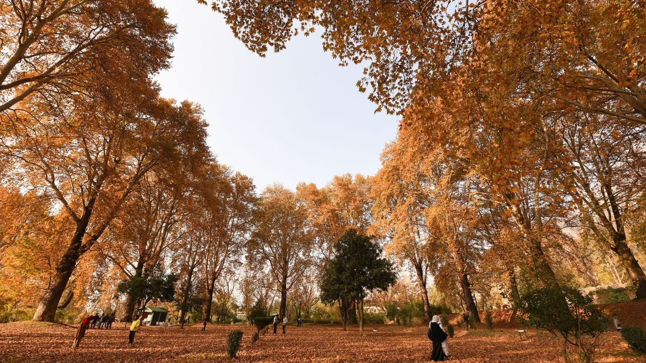 Nowadays a different and beautiful style of weather is being seen in Kashmir.
