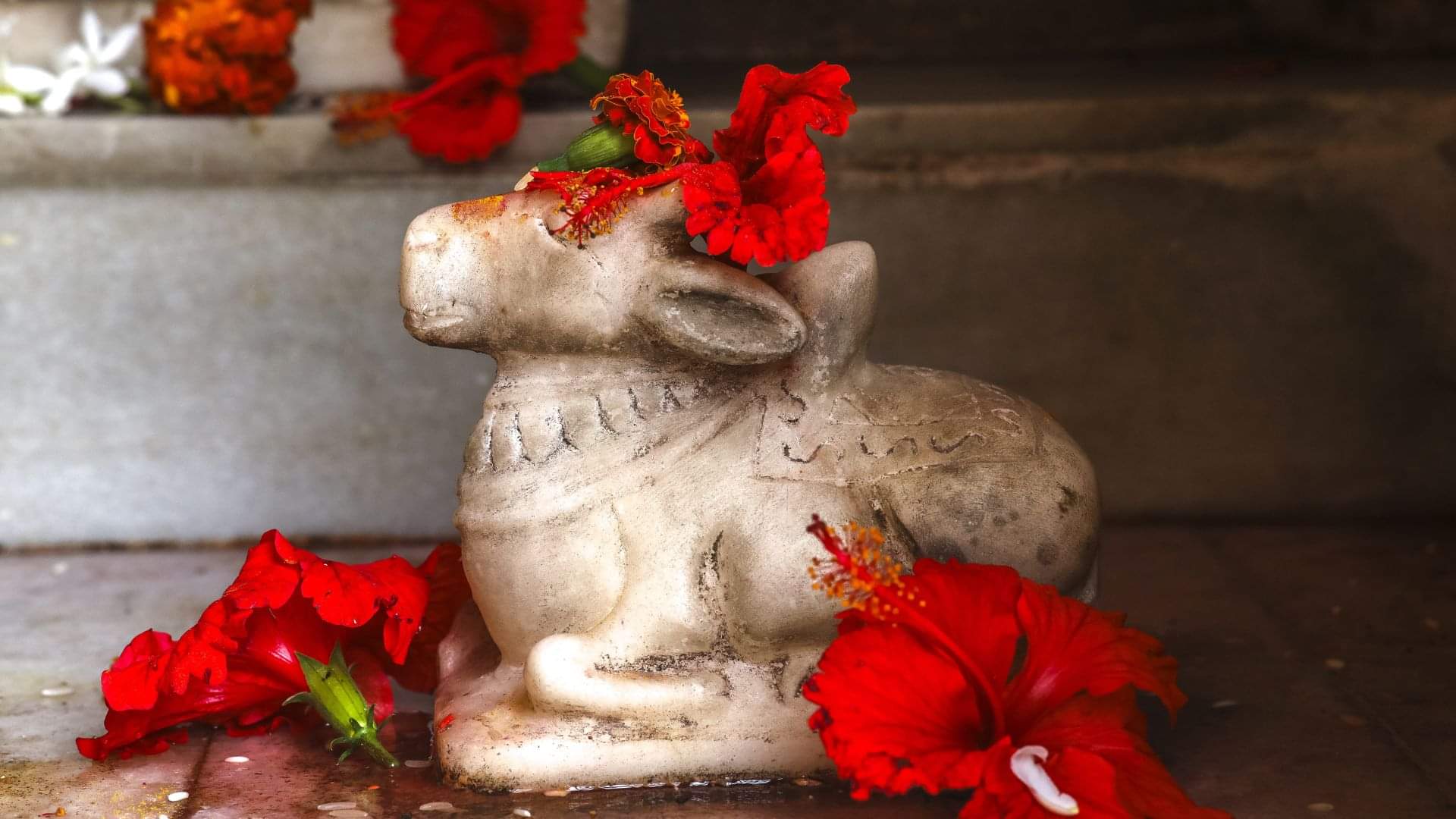 Why do people says into the ears of Nandi in Shiva temples what are the religious beliefs behind it