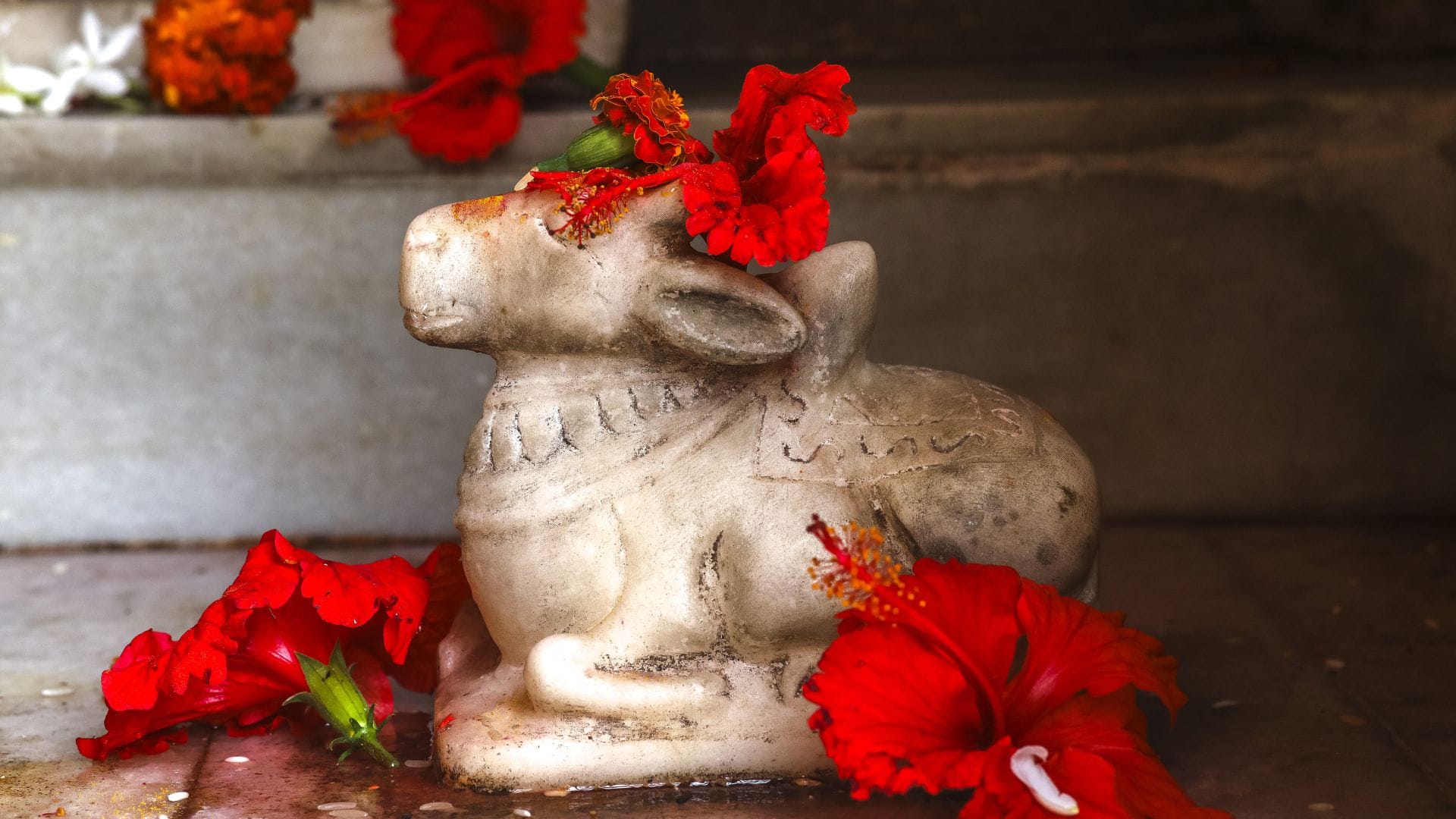Why do people says into the ears of Nandi in Shiva temples what are the religious beliefs behind it