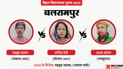 Bihar Election Second Phase: The fate of several prominent figures, including the presidents of three parties