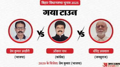 Bihar Election Second Phase: The fate of several prominent figures, including the presidents of three parties