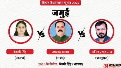 Bihar Election Second Phase: The fate of several prominent figures, including the presidents of three parties