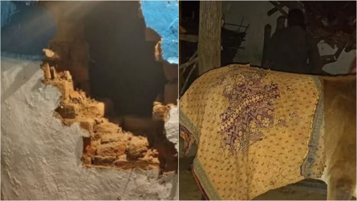 Dindori News: Elephants Drunk on Mahua Fragrance Enter Village, Damage Houses, Injure Bull
