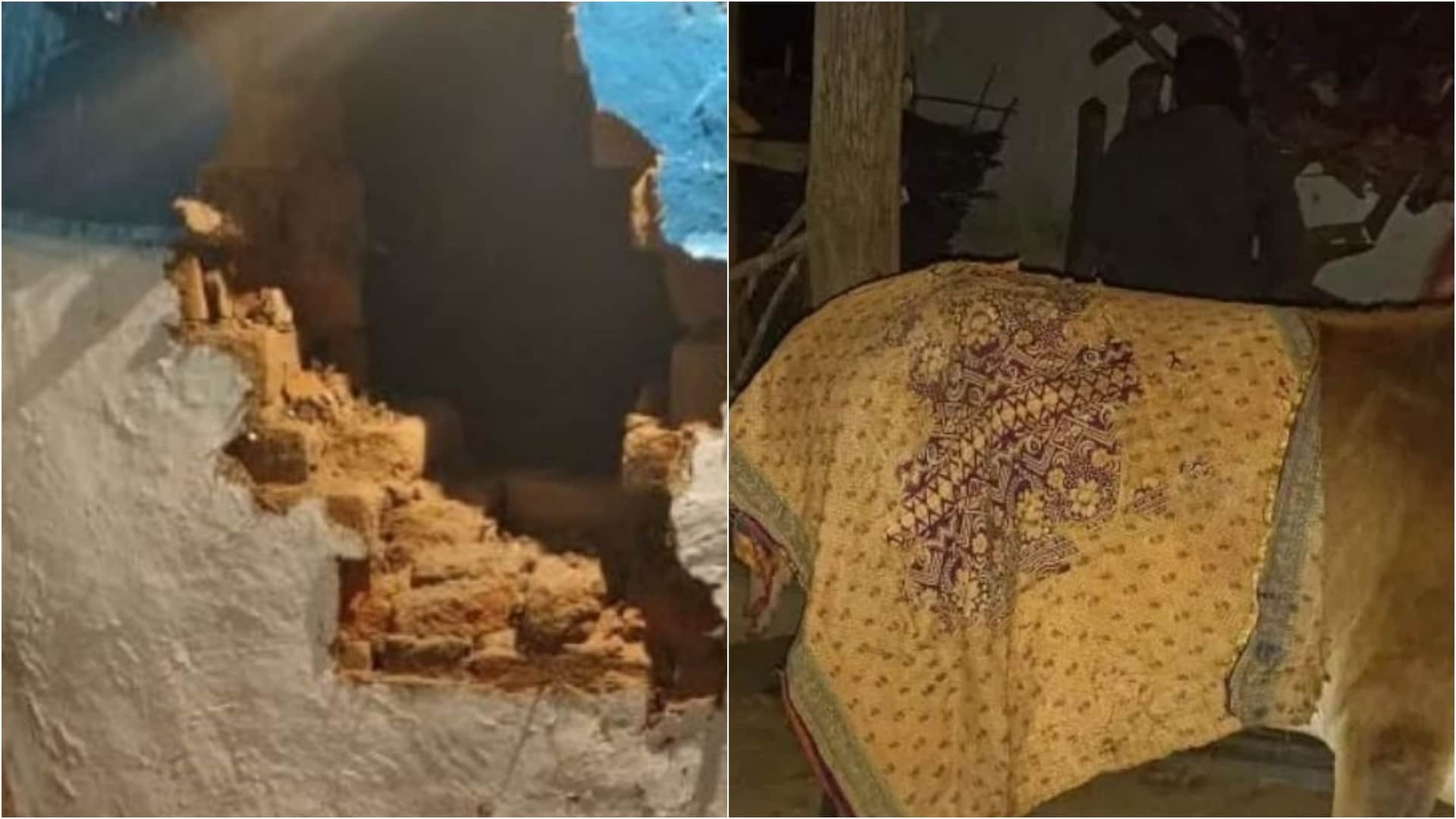 महुए की खुशबू में मदमस्त हाथियों ने गांव में मचाया आतंक