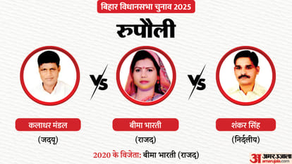 Bihar Election Second Phase: The fate of several prominent figures, including the presidents of three parties