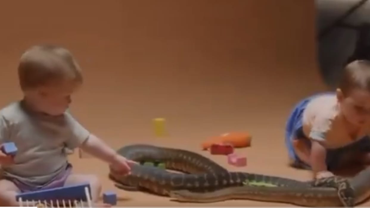 Live snakes left with small children then what happened Video goes Viral on Internet see netizens reaction