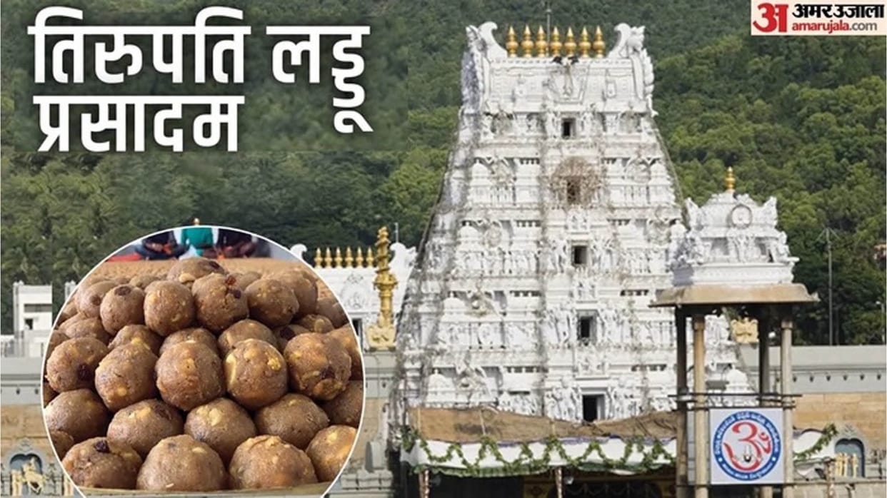 Tirupati Temple Laddu Scam: Fake Ghee Offered as Prasad for 5 Years! 250 Crore Fraud Exposed; Know How